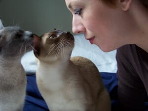 Sophie-Bohrt-Montagné_comportementaliste-spécialiste-du-chat
