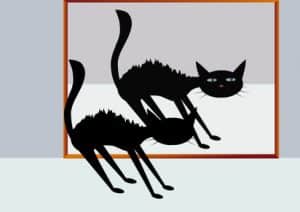 malpropreté chat problème comportement