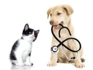 sites utiles pour les animaux